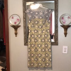 Macht London pencil knee length dress